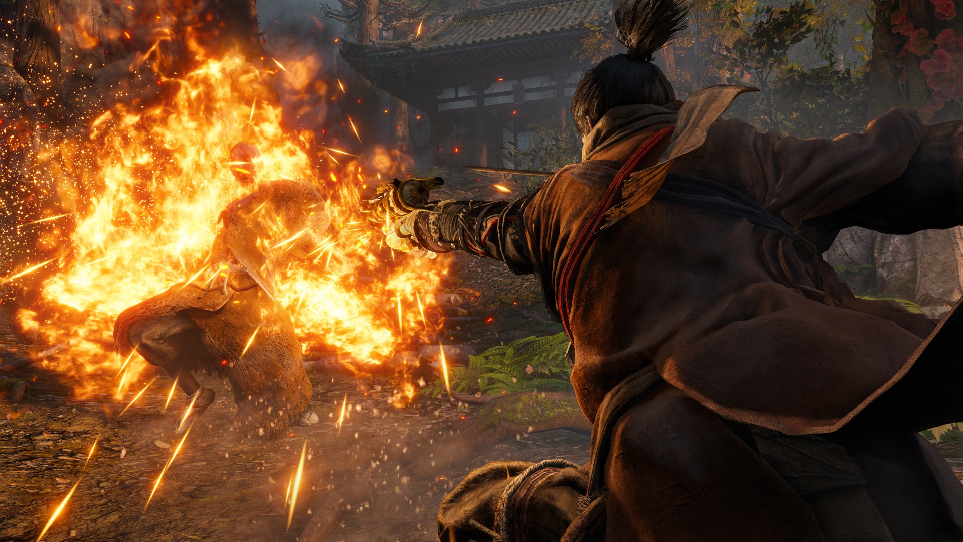 Sekiro: Shadows Die Twice - Imagen 29